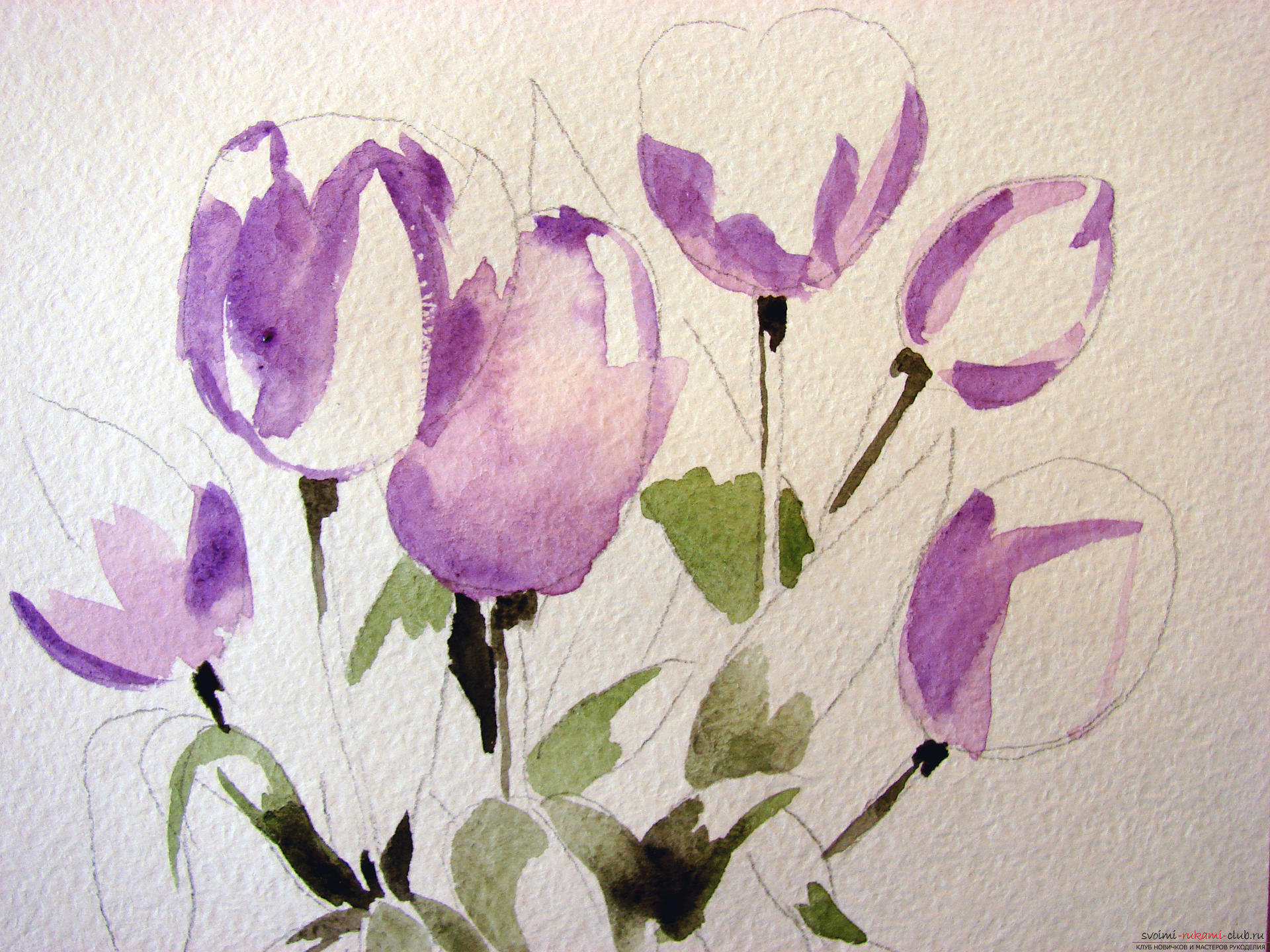 Мастер-класс по рисованию с фото научит как нарисовать цветы, подробно описав как рисуются тюльпаны поэтапно.. Фото №5